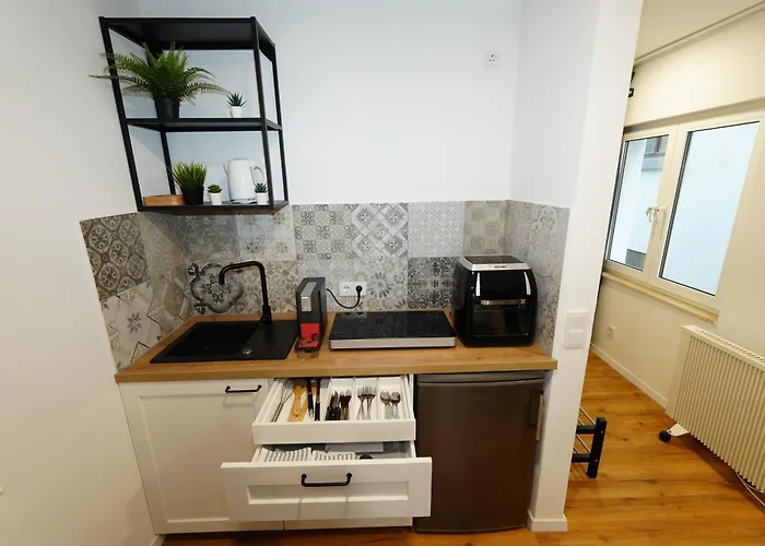 Livery Apartment Koblenz (Rhineland-Palatinate)